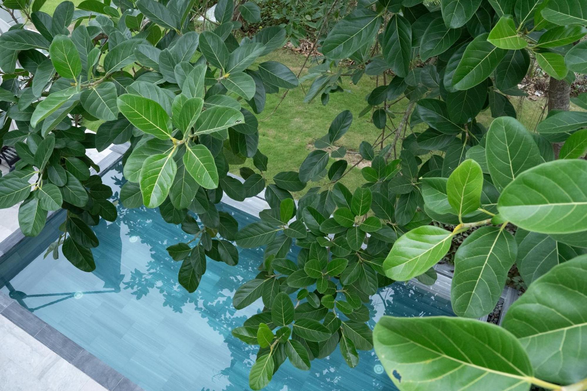 "Brg Golf Club" - Danang Private Pool Villa 3 Bedrooms #1 Extérieur photo